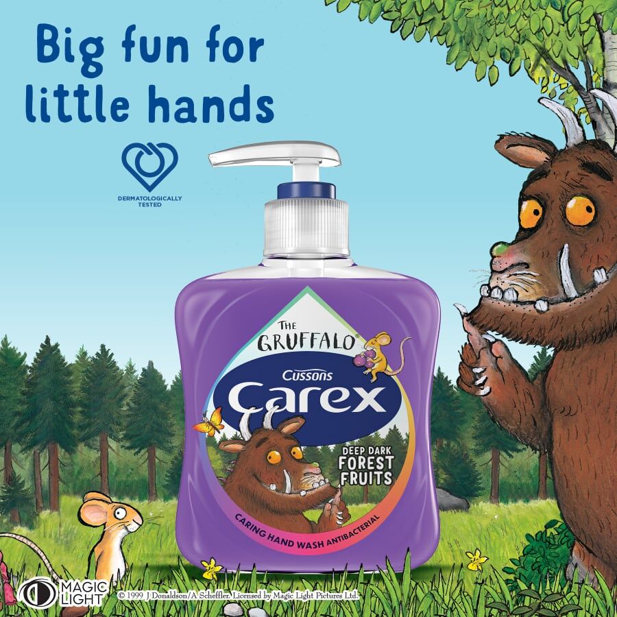 Carex Gruffalo Deep Dark Forest Fruits Antibacterial Hand Wash 250ml